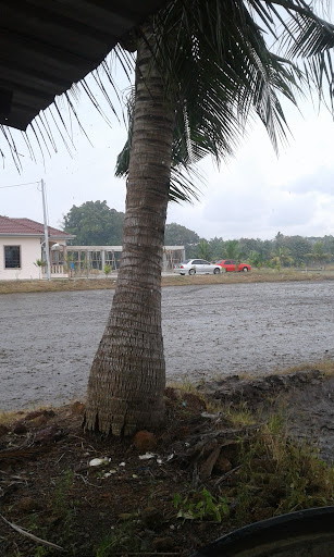 Tay Hai Swee & Sons Construction Works