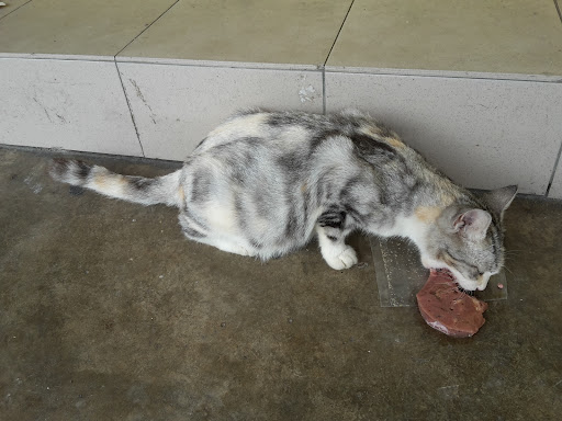 Puchong Renovation Principal Trading