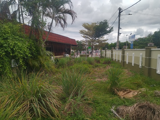 cleansing services & renovations home