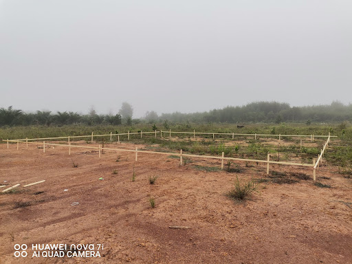 Evan Jaya Construction & Electrical