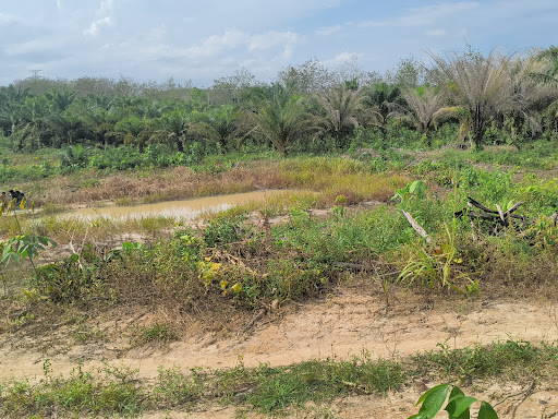 De' Botung Enterprise