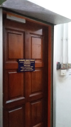 Resources Surveys Services