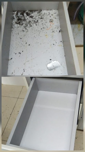 Tachuz Cleaning Services