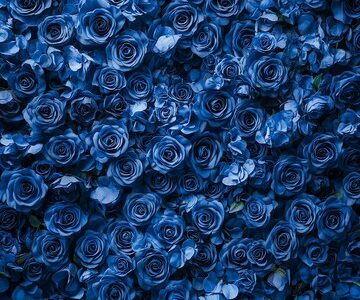 Projek Pembinaan Mawar Biru Construction Enterprise – Kualiti Tinggi & Reka Bentuk Moden