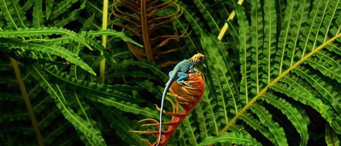 Haina Resource: Sumber Digital Terbaik untuk Solusi Perniagaan & Teknologi