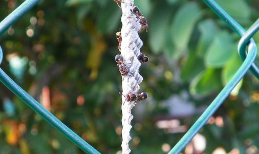 Peringat Harian: Tips & Cara Menggunakan Notifikasi untuk Mengingat Tugas Penting