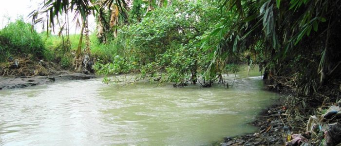 Keindahan Pemandangan Ditepi Sungai: Foto Alam Menakjubkan dengan Cahaya Senja
