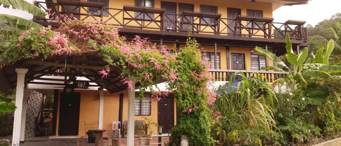 RN Global House – Reka Bentuk Rumah Mewah Global, Inspirasi Seni & Gaya