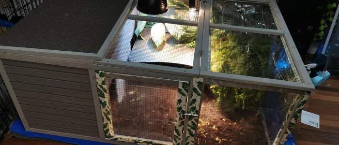 Rumah Tegu: Reka Bentuk Unik dengan Hiasan Tropika dan Gaya Moden